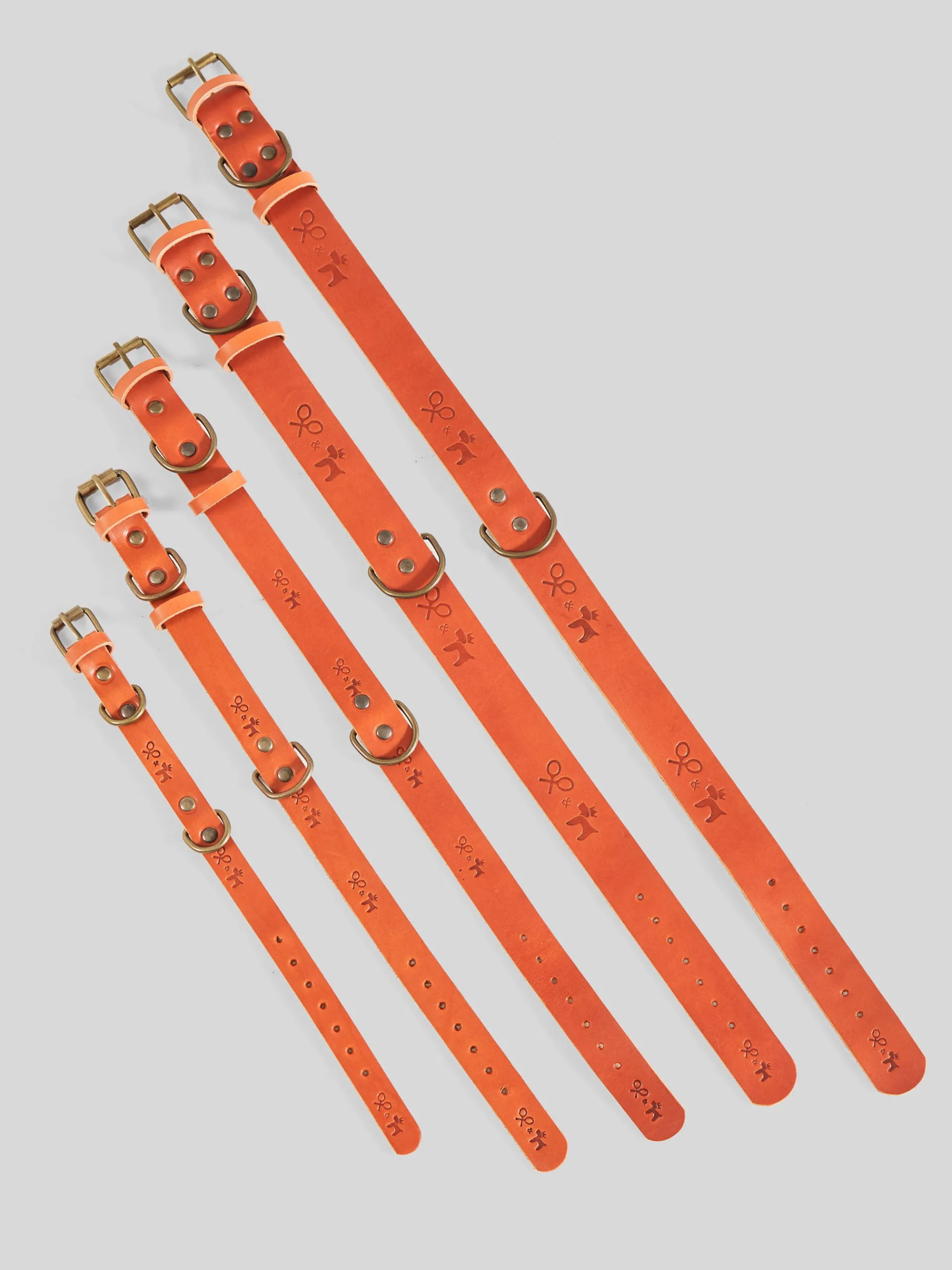 Silbon Mascotas|Hogar·Mascotas-Collar perro xLADRANGAUCHO cuero Marron claro