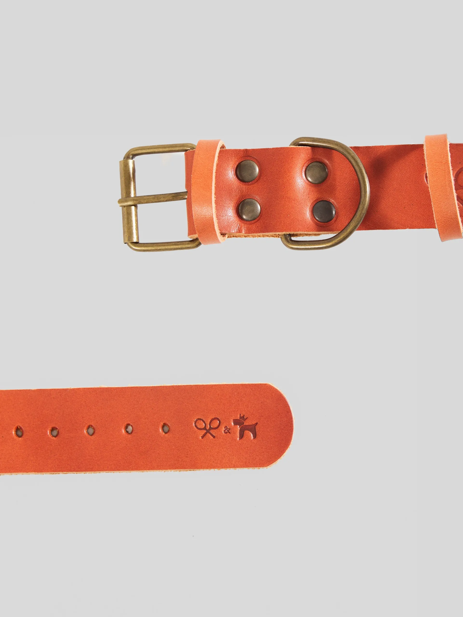 Silbon Mascotas|Hogar·Mascotas-Collar perro xLADRANGAUCHO cuero Marron claro