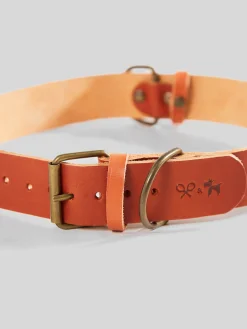Silbon Mascotas|Hogar·Mascotas-Collar perro xLADRANGAUCHO cuero Marron claro