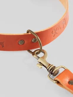 Silbon Mascotas|Hogar·Mascotas-Collar perro xLADRANGAUCHO cuero Marron claro