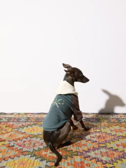 Silbon Mascotas|Hogar·Mascotas-Sudadera mascotas hoodie multicolor Verde