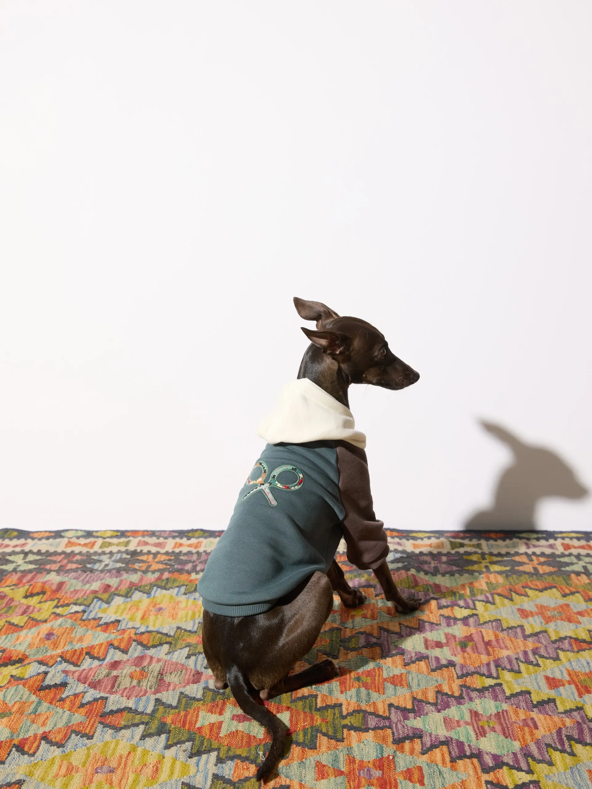 Silbon Mascotas|Hogar·Mascotas-Sudadera mascotas hoodie multicolor Verde