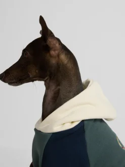 Silbon Mascotas|Hogar·Mascotas-Sudadera mascotas hoodie multicolor Verde