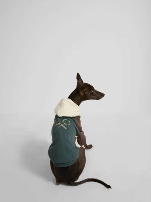 Silbon Mascotas|Hogar·Mascotas-Sudadera mascotas hoodie multicolor Verde