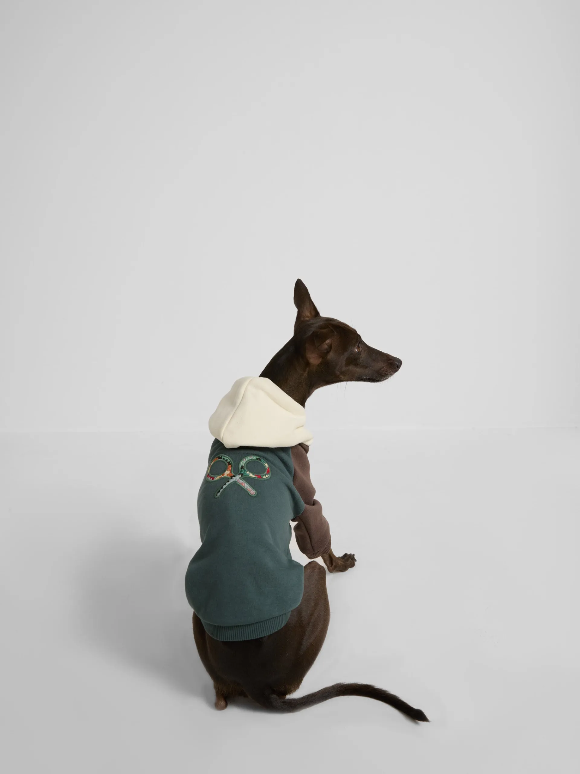 Silbon Mascotas|Hogar·Mascotas-Sudadera mascotas hoodie multicolor Verde