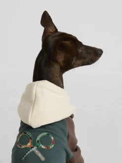 Silbon Mascotas|Hogar·Mascotas-Sudadera mascotas hoodie multicolor Verde