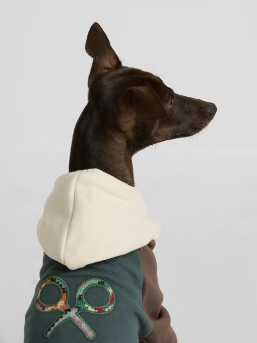 Silbon Mascotas|Hogar·Mascotas-Sudadera mascotas hoodie multicolor Verde