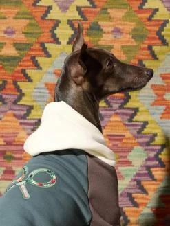 Silbon Mascotas|Hogar·Mascotas-Sudadera mascotas hoodie multicolor Verde